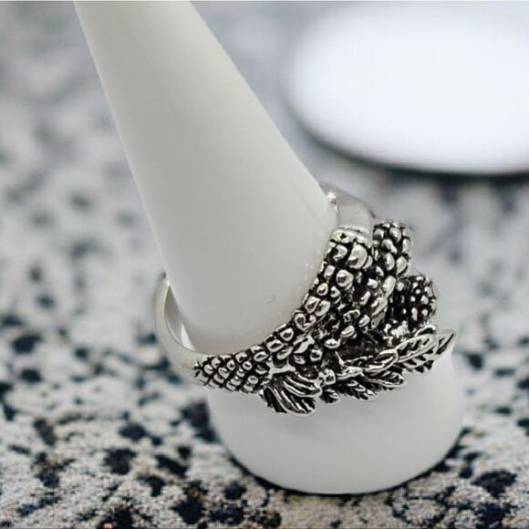 Dragon Claw of Nidhoggr Band Titanium Steel Adjustable Men's Ring Silver Jewelry - Picture 4 of 11